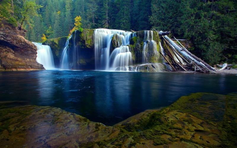 scenics - nature, nature, long exposure, 1080P, water, flowing, plant, river, tree, motion, waterfront, outdoors, travel destinations, beauty in nature