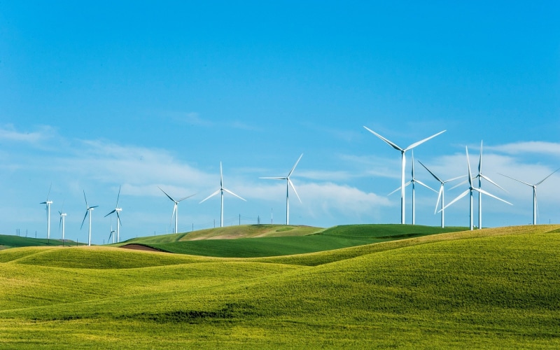 plant, power supply, wind turbine, field, sky, grass, day, technology, nature, turbine, fuel and power generation, land, renewable energy, no people, wind power