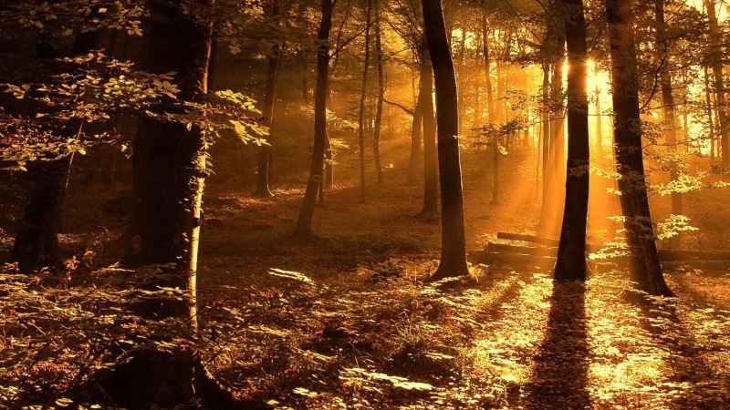 widescreen high resolution nature hd 1920x1080, 1080P