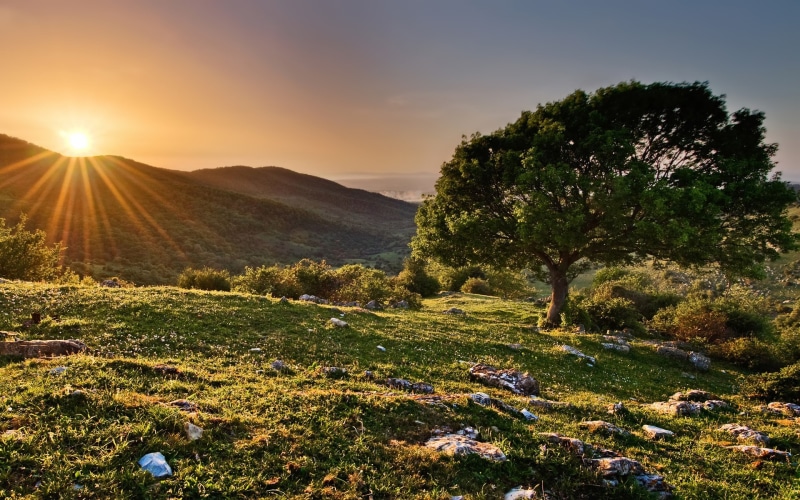 full hd 1080p nature  desktop backgrounds hd 1920x1200, 1080P