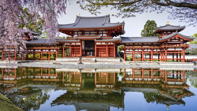uji, brown, chinese, scenery, temple, temples, byodoin temple, wooden, byodoin, japan, 1080P, gray