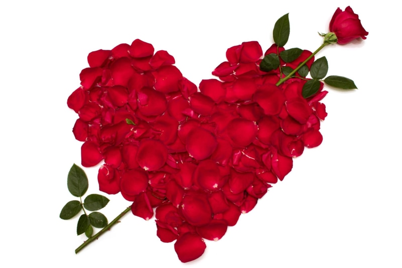 valentine 2014, flowers, roses, valentine, roses heart, love, red, valentines day, heart, 1080P, petals