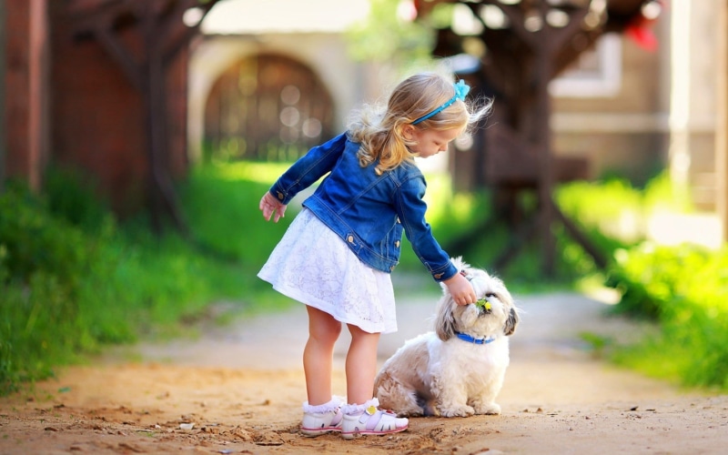 toddler, Cute, s, Little, blue, Dog, 1080P, Girl, denim, jacket