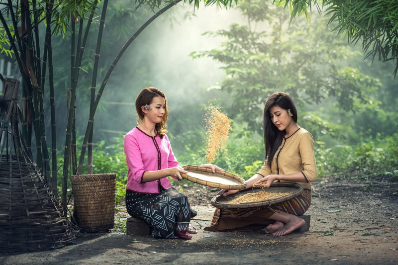 family, plant, togetherness, sweet white mature vintage, tree, women, outdoors, beauty, white water country, lifestyle native natural myanmar, lady, childhood
