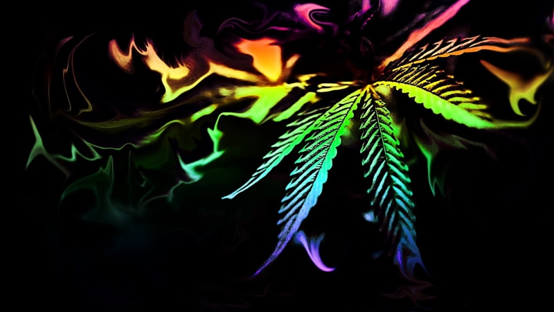cannabis, rainbow, color, green color, studio shot, grass, beauty in nature, multi colored, abstract, night, artistic, plant, desktop, tree, natural pattern