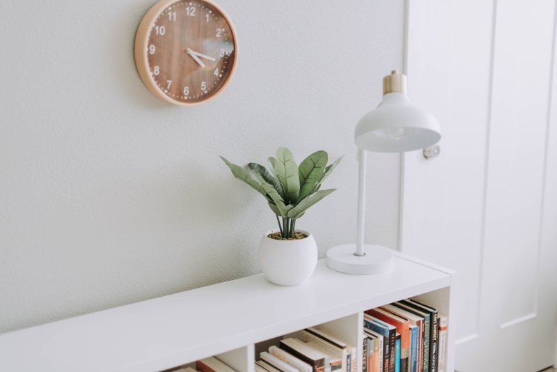 desk, plant, bookshelf, comfortable, apartment, 5K, green, modern, decor, wood - Material, lifestyles, simplicity, furniture, indoors, time, design, pot