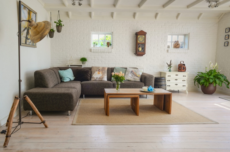 cushion, carpet, no people, clean, domestic room, living room interior, interior, flooring, wall clock, modern, seat, potted plant, decor, plant, wood