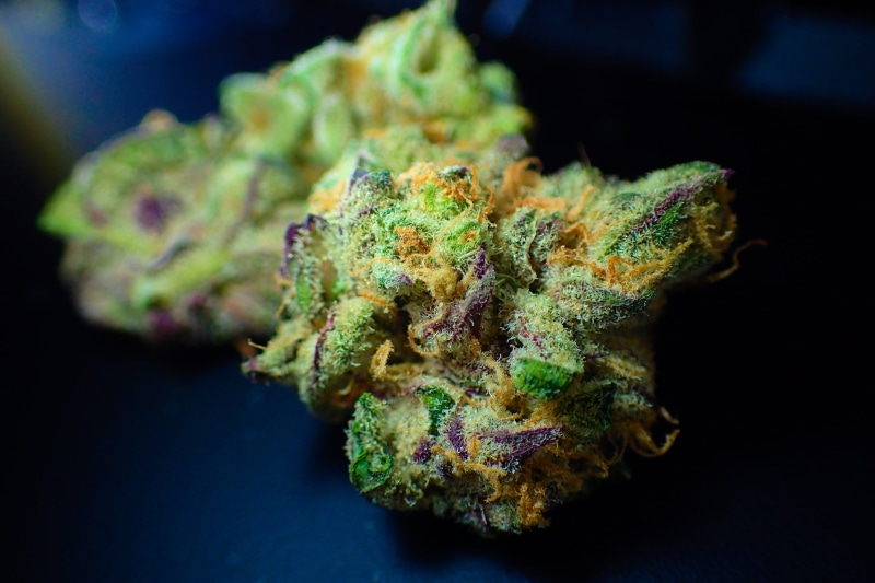 food and drink, ganja, herb, plant, no people, medical, thc, dope, pot, green, black background, legalize, medicine, bud, marijuana, narcotic, hemp, herbal
