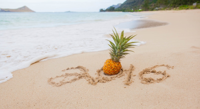 Happy New Year, beach, 5K, Fruit, nature, Pineapple, body, Tropical, HNE, near, coastline, Waimanalo Beach, sand, Pacific  Islands, Welcome, body of water