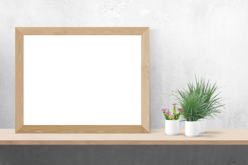 flowering plant, interior, design, flower, brown, frame, potted plant, white, decoration, architecture, indoors, rectangular, blank, mock, poster, white color