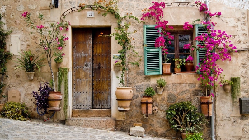 history, building Exterior, plant, color Image, wood - Material, doors, potted Plant, facade, flower Pot, Windows, mediterranean Culture, window, old, house