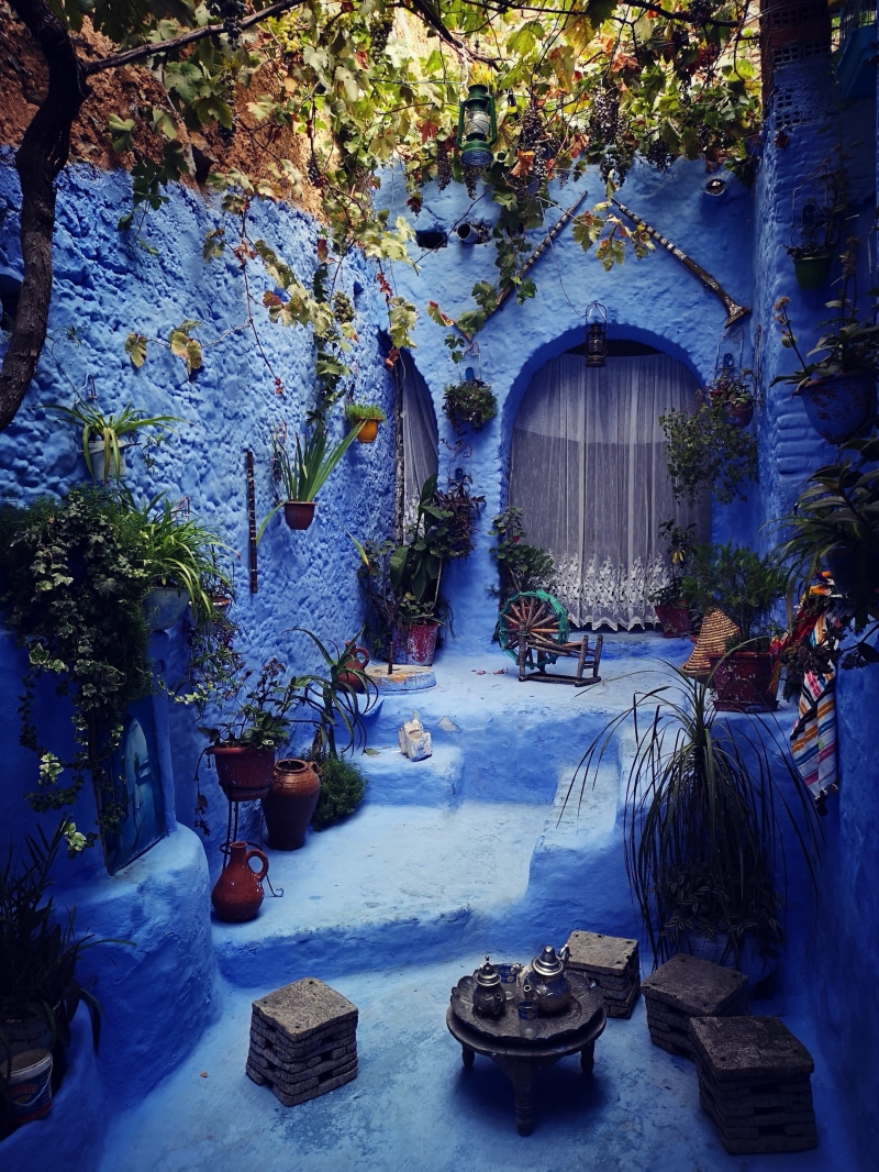 authentic, beauty in nature, tree, fountain, outdoors, architecture, morocco, day, built structure, no people, flowering plant, potted plant, electric lamp