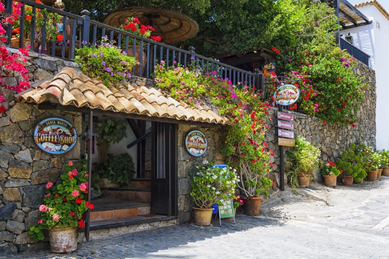 wall, sightseeing, village, downtown, architecture, flowers, fuerteventura, potted plant, road, historically, culture, places of interest, town center