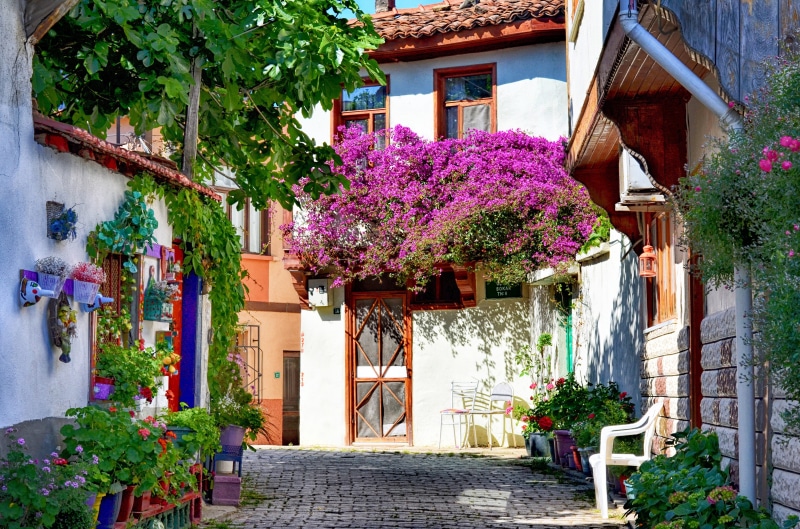 nostalgia, natural turkey, photo, village, purple, background, flowering plant, house, built structure, beauty in nature, day, detail shots, europe, houses