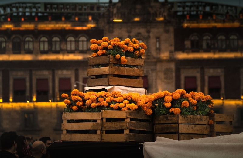 food and drink, pottery, plant, no people, wellbeing, street market, potted plant, flower, 2K, citrus fruit, freshness, flowers, food, architecture, wooden