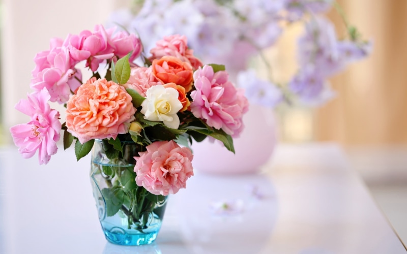 Arrangement, Flower, Life, Vase, Still, Roses, 2K, Desktop