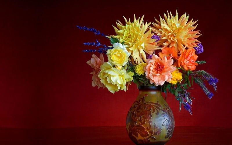 nature, flower, vase, 1080P