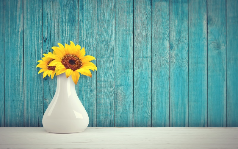 flower arrangement, summer, bouquet, beauty in nature, blue, yellow, close-up, wood, white, background, no people, pitcher - jug, flower, fragility, wood - material