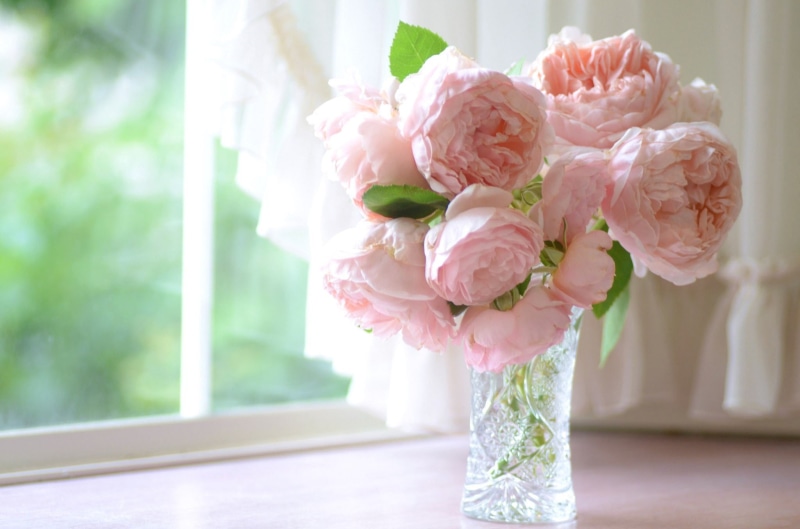 romance, beauty in nature, english, day, white, roses, vase, petals, backgrounds, table, decoration, plant, love, softness, indoors, flower Head, domestic Room