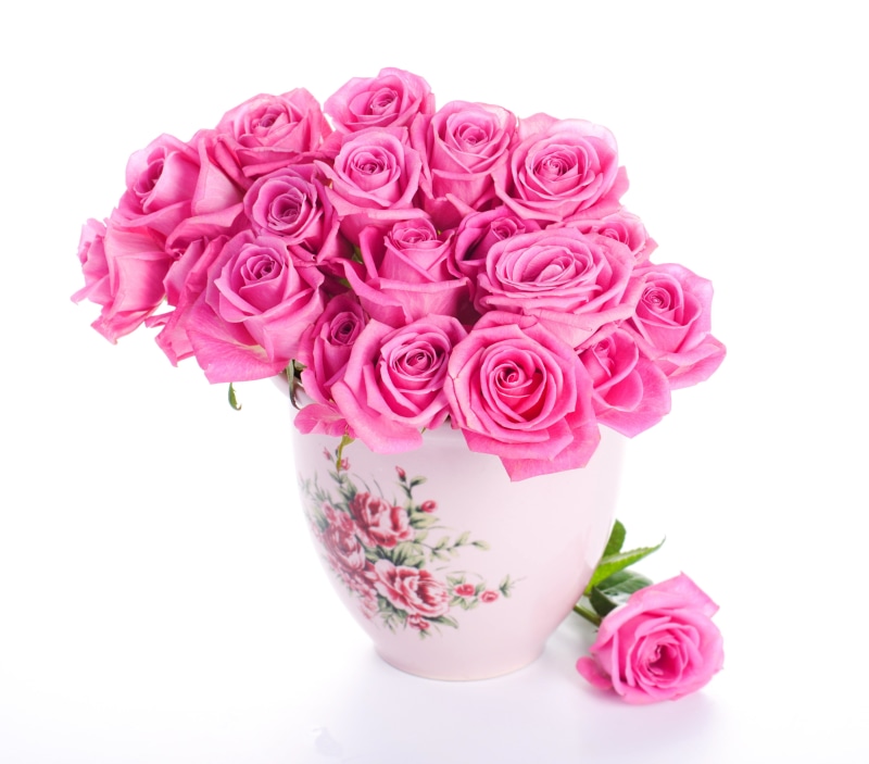 backgrounds, decoration, summer, purple, isolated, pink Color, gift, rose - Flower, vase, leaf, flowering plant, valentines Day - Holiday, romance, love