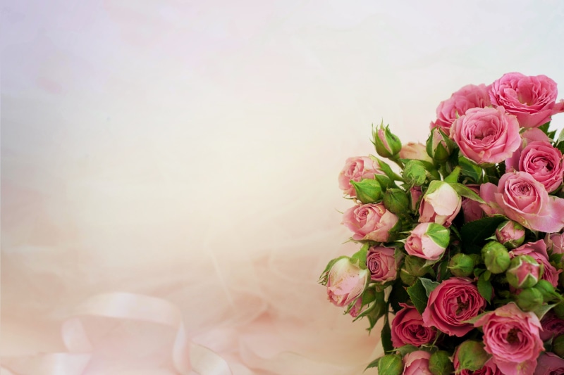 flower Head, celebration, plant, rose, bunch of flowers, day, nature, vulnerability, roses, summer, backgrounds, flower, petal, valentines Day - Holiday