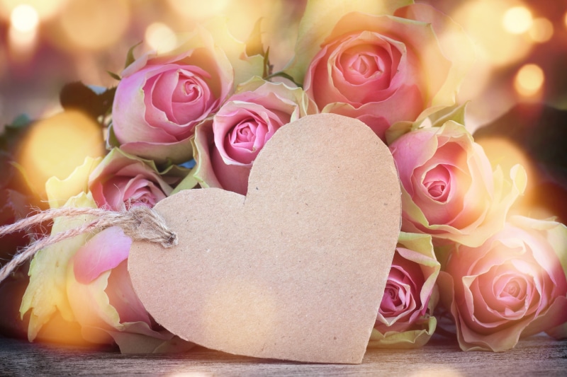 love, still life, valentine`s day, 4K, beauty in nature, petal, freshness, temptation, flower arrangement, romantic, buds, pink, flower head, plant, flowering plant