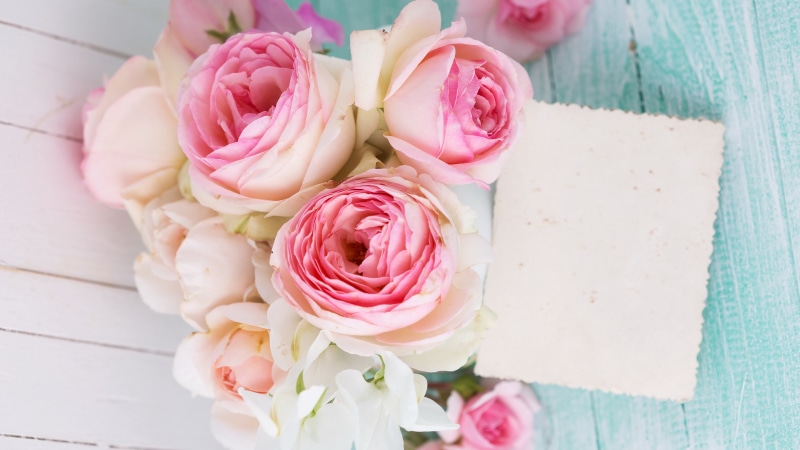 Pink, 4K, Flowers, Rose, Board, Wood, Bouquet