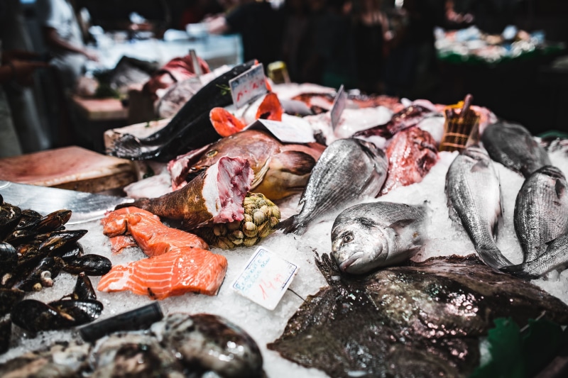 fishing industry, market, prepared Fish, Barcelona Spain, consumerism, frame, fish Market, vitamin, no people, la, vertebrate, raw food, seafood, choice