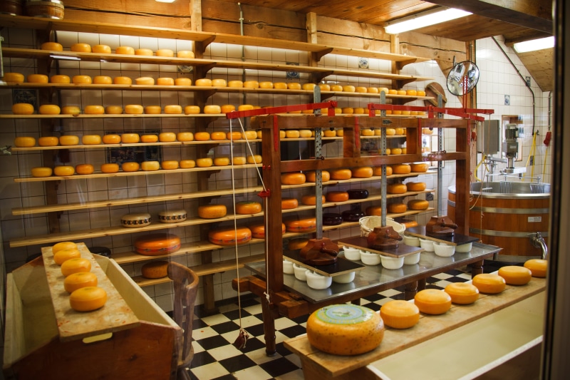 business, food and drink industry, freshness, industry, still life, shelf, side by side, make, in a row, container, steel, industrial, production, technology