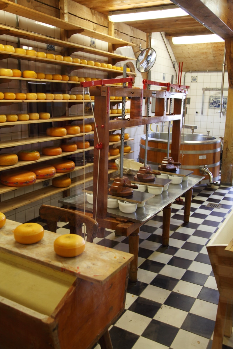 5K, equipment, production, dairy, tank, tiled floor, still life, wellbeing, food and drink industry, commercial, make, no people, large group of objects