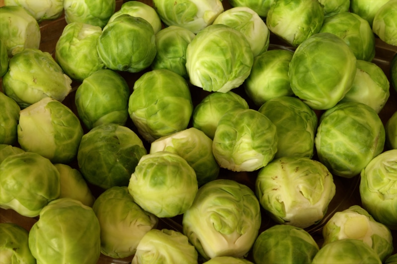 brussels sprout, green color, cook, large group of objects, market, eat, agriculture, green, brussels sprouts, vegetable, backgrounds, close-up, cabbage