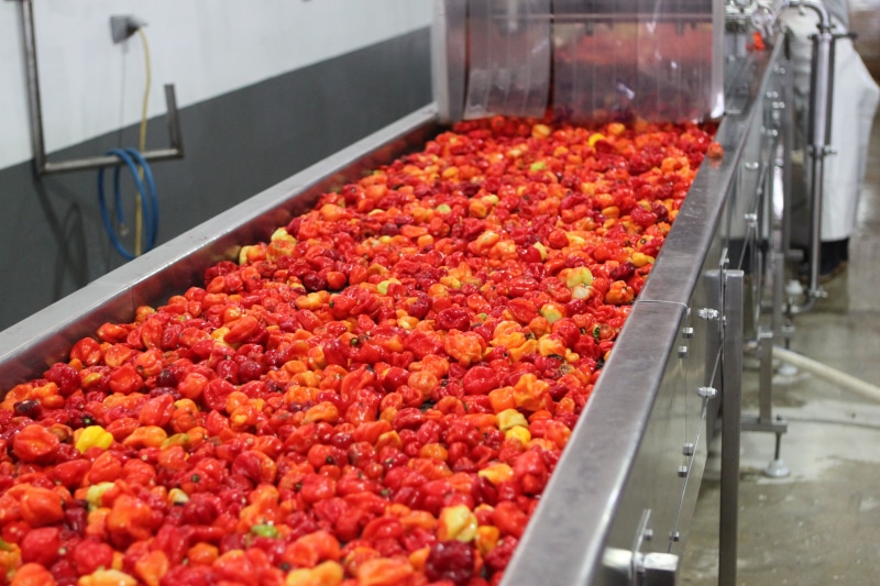 food, food and drink industry, in a row, no people, fruit, food processing plant, food and drink, large group of objects, preparation, production line