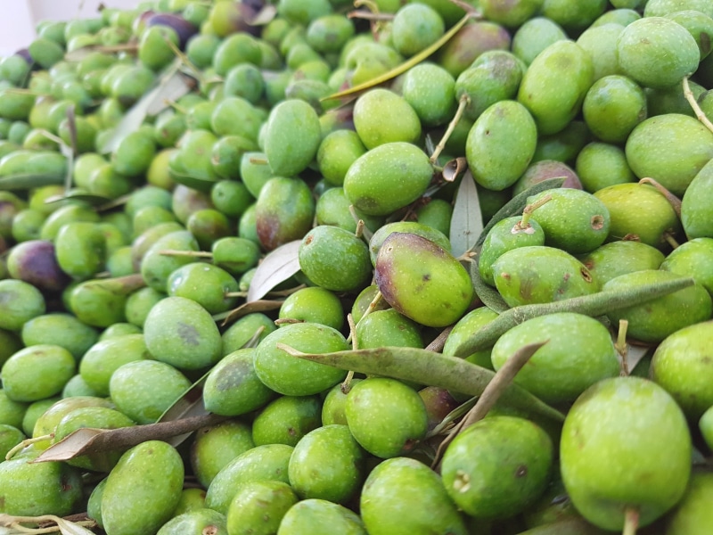 full frame, fruit, food and drink, green, no people, 4K, food processing plant, olivas, market stall, large group of objects, retail, wellbeing, for sale