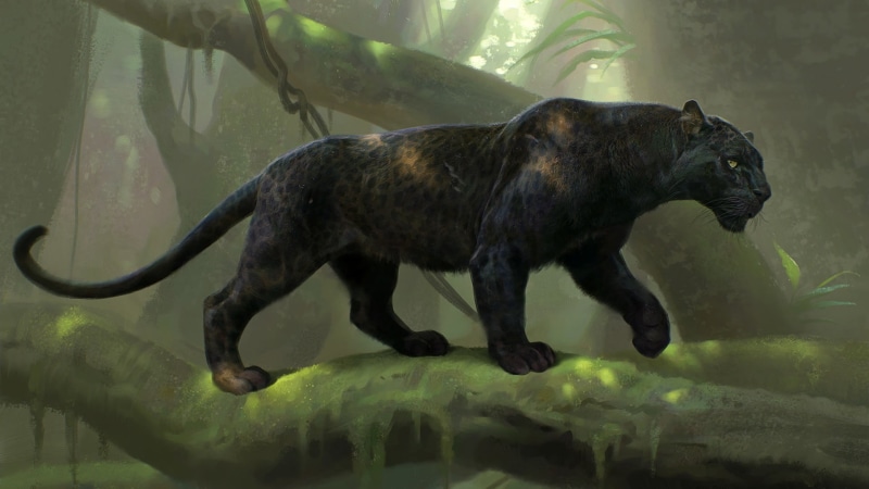 Black Panther, mammal, branch, animal, lake, panther, 1080P, side view, no people, outdoors, walks, one animal, water, nature, animal themes, animals in captivity
