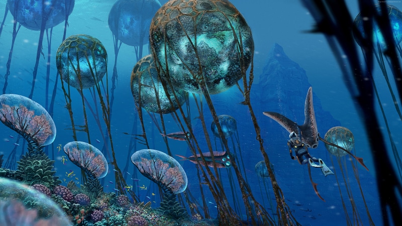 sea, water, undersea, animals in captivity, invertebrate, vertebrate, nature, swimming, screenshot, outdoors, sea life, 4K, animal, animal wildlife, animals in the wild
