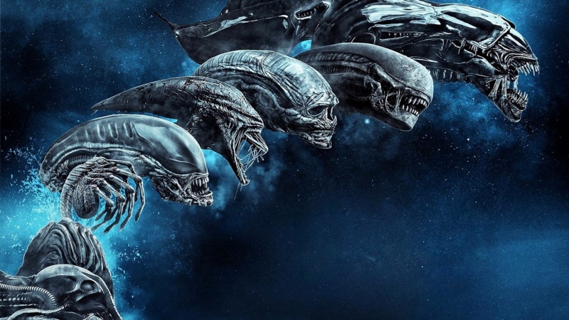 Engineer, one animal, animals in the wild, Alien (movie), animal, sea life, marine, sea, 1080P, animals in captivity, blue background, animal themes, Xenomorph