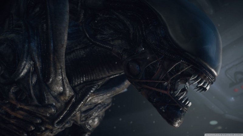 one animal, reptile, H. R. Giger, 720P, sea life, animal head, Alien (movie), no people, swimming, black color, animals in the wild, marine, animal wildlife