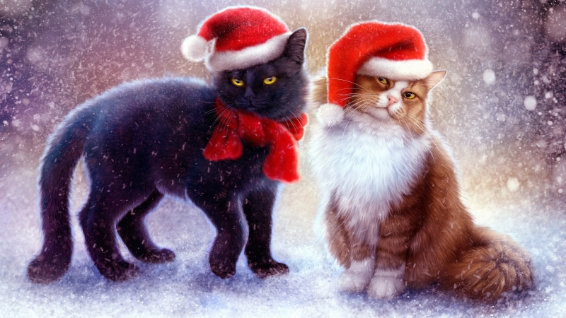 art, christmas, cats, artwork, cat, kitten, santa claus, whiskers, 4K