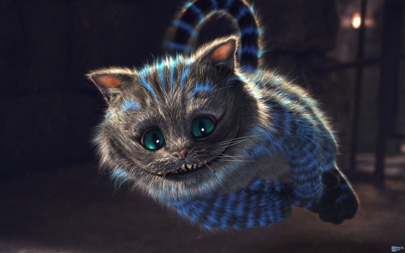 feline, wonderland, fantasy art, close-up, indoors, focus on foreground, alice, cat, portrait, no people, animal body part, looking at camera, Cheshire Cat
