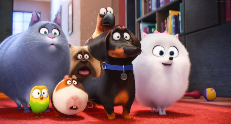 dog, looking at camera, toy, animal themes, animal representation, domestic cat, The Secret Life of Pets, group of animals, cat, cartoon, domestic, art and craft