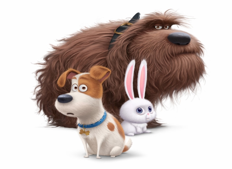 cartoon, Best Animation Movies of 2016, 4K, The Secret Life of Pets