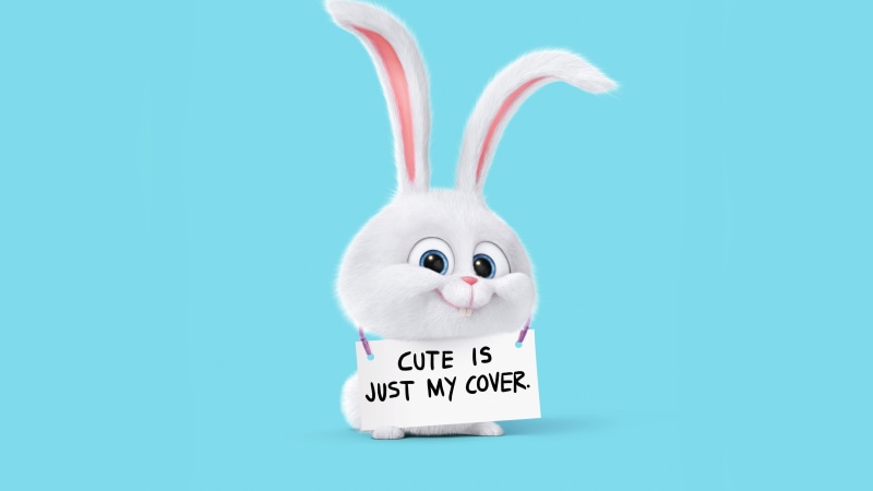 cartoon, cover, illustration, cute, white, 4K, Best Animation Movies of 2016, The Secret Life of Pets, holding, rabbit