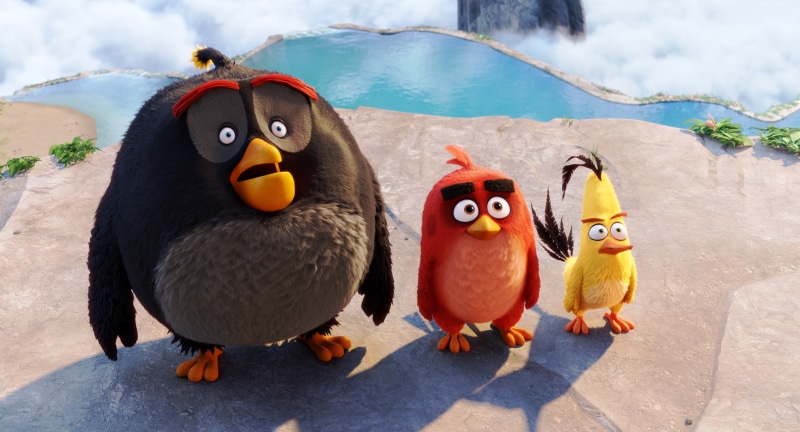 chuck, bomb, Best Animation Movies of 2016, 4K, red, Angry Birds Movie