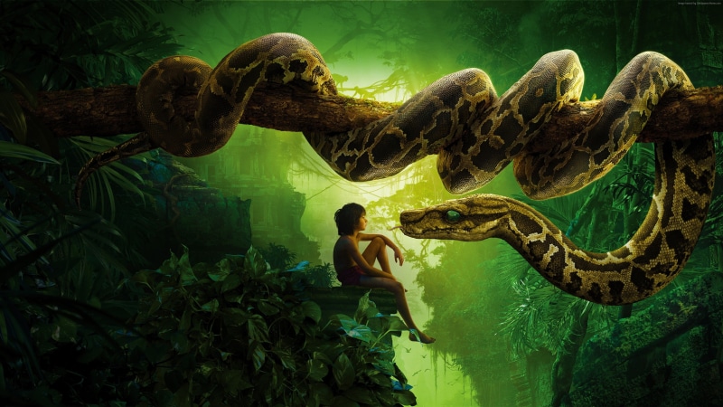 mowgli, 4K, snake kaa, Best movies of 2016, The Jungle Book