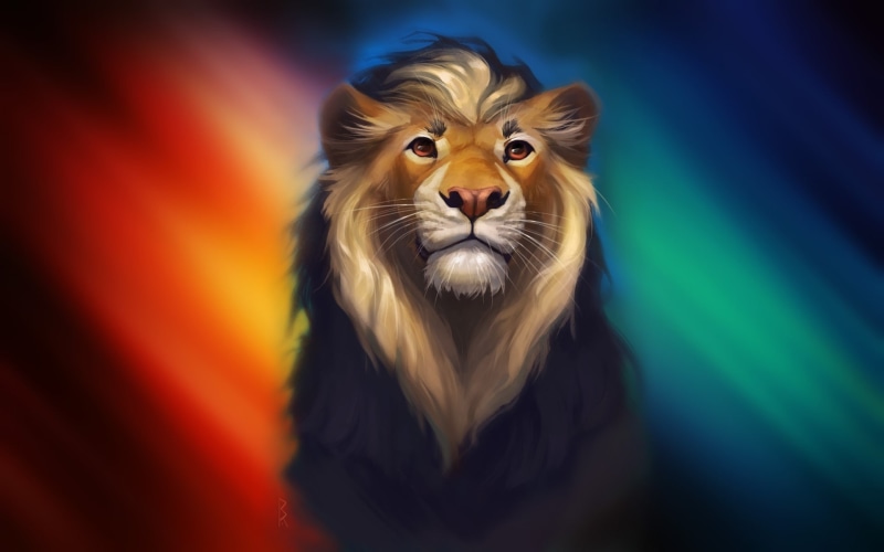portrait, mammal, colorful, feline, close-up, 1080P, pets, looking at camera, artwork, domestic cat, animal, digital art, vertebrate, indoors, carnivora
