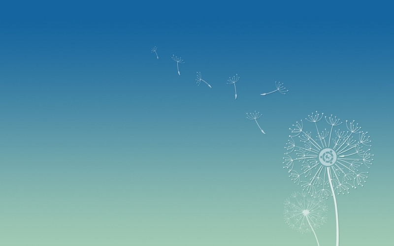 white color, technology, blue, colored background, nature, sky, dandelion, art and craft, 1080P, winter, blue background, pattern, copy space, snow, creativity