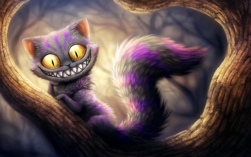 2K, 3d and abstract, funny, smiling, fantasy, d, cat, abstract, fanatsy