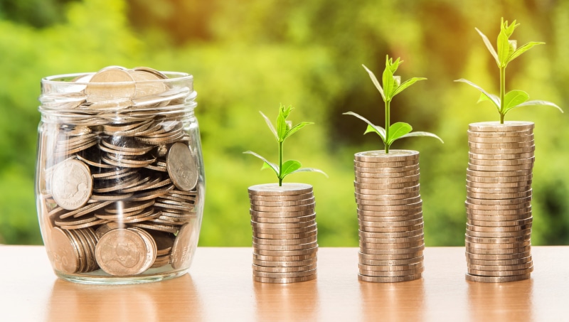 responsibility, salary, planting, rich, seedling, accounting, plant, gardening, dollar, leaf, deposit, save, beginnings, economy, 4K, making money, loan