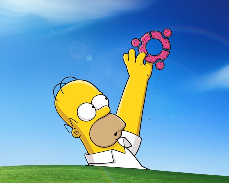 adult, homer, cartoon, The Simpsons, simpson, Ubuntu, grass, sport, nature, 720P, smiling, men, emotion, fun, human body part, positive emotion, leisure activity