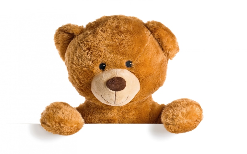 brown, 2K, bear, teddy, cute, teddy bear, toy